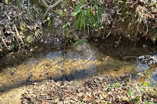 198 Sweetwater Trail, Villa Rica, GA 30180 - Photo 41