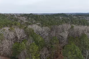 346 Clayton Chester Rd, Dawsonville, GA 30534 - Photo 3