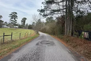 346 Clayton Chester Rd, Dawsonville, GA 30534 - Photo 11