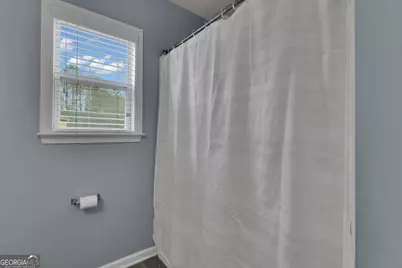 35 Paddle Boat Cove, Senoia, GA 30276 - Photo 55