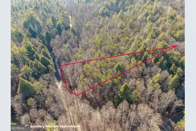 0 Satsuma South Court #694, Ellijay, GA 30540 - Photo 13