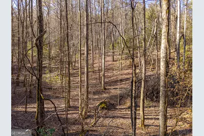 0 Satsuma South Court #694, Ellijay, GA 30540 - Photo 3