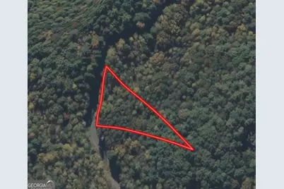 0 Satsuma South Court #694, Ellijay, GA 30540 - Photo 3