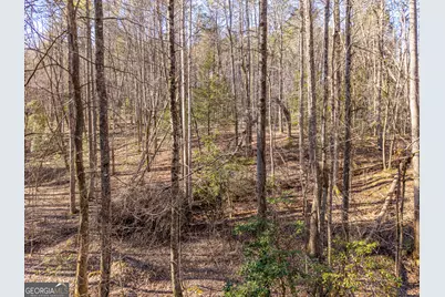 0 Satsuma South Court #694, Ellijay, GA 30540 - Photo 17