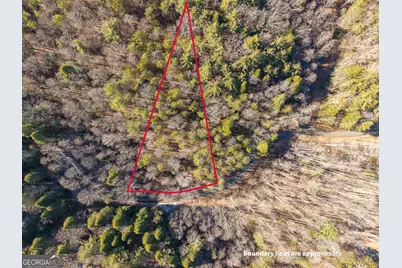 0 Satsuma South Court #694, Ellijay, GA 30540 - Photo 7