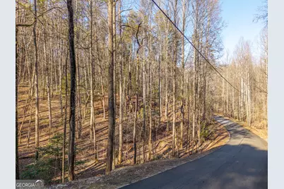 0 Satsuma South Court #694, Ellijay, GA 30540 - Photo 5