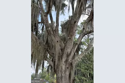 601 Fort King George Drive, Darien, GA 31305 - Photo 3