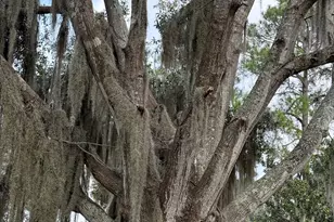 601 Fort King George Dr, Darien, GA 31305 - Photo 3