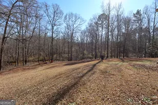 111 Fox Run Ct, McDonough, GA 30253 - Photo 31