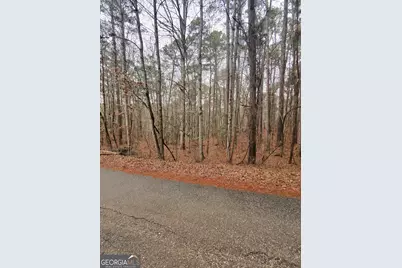 0 Goldeneye Court, Monticello, GA 31064 - Photo 1