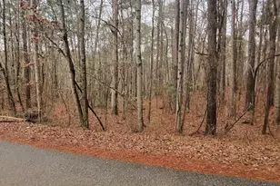 0 Goldeneye Ct, Monticello, GA 31064 - Photo 1