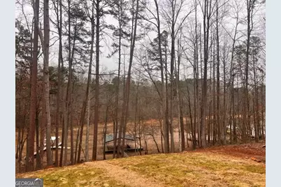 410 Lakeside Hills Road, Martin, GA 30557 - Photo 47