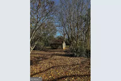 720 Wise Road, White Plains, GA 31780 - Photo 31