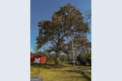 720 Wise Road, White Plains, GA 31780 - Photo 33