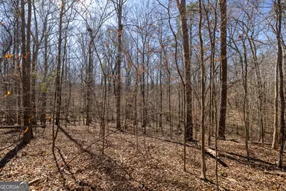 2039 Fontainbleau Drive, Conyers, GA 30094 - Photo 51