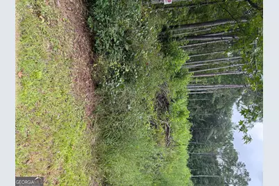 0 Maple Trail, Sharpsburg, GA 30277 - Photo 13