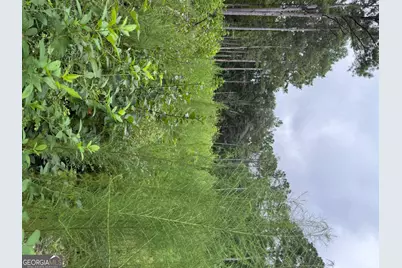 0 Maple Trail, Sharpsburg, GA 30277 - Photo 9