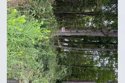 0 Maple Trail, Sharpsburg, GA 30277 - Photo 5