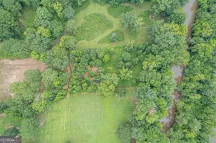 303 Tumbling Shoals Ct, Gray, GA 31032 - Photo 63