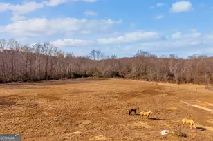 249 Hunters Creek Trail, Toccoa, GA 30577 - Photo 107