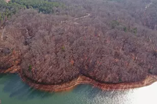 242 Pristine Cove, Hartwell, GA 30643 - Photo 75