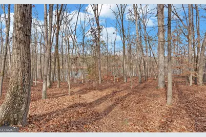 242 Pristine Cove, Hartwell, GA 30643 - Photo 65