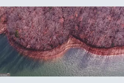 242 Pristine Cove, Hartwell, GA 30643 - Photo 79