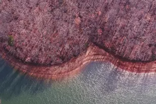 242 Pristine Cove, Hartwell, GA 30643 - Photo 79