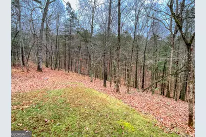 60 Mossy Oak Court, Ellijay, GA 30540 - Photo 27