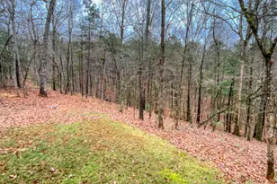 60 Mossy Oak Ct, Ellijay, GA 30540 - Photo 27