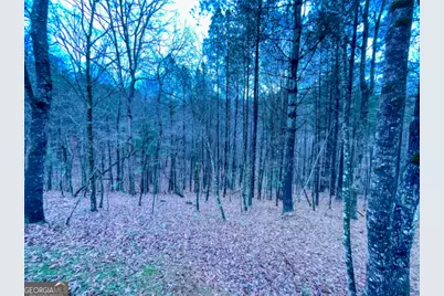 60 Mossy Oak Court, Ellijay, GA 30540 - Photo 23