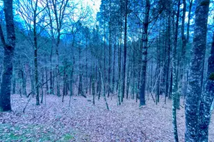 60 Mossy Oak Ct, Ellijay, GA 30540 - Photo 23