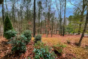 60 Mossy Oak Ct, Ellijay, GA 30540 - Photo 3