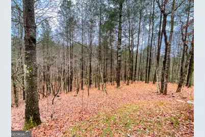 60 Mossy Oak Court, Ellijay, GA 30540 - Photo 25