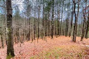 60 Mossy Oak Ct, Ellijay, GA 30540 - Photo 25