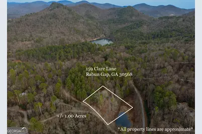 159 Clare Lane, Rabun Gap, GA 30568 - Photo 41
