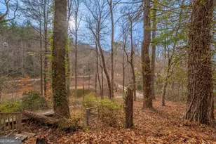 159 Clare Ln, Rabun Gap, GA 30568 - Photo 35