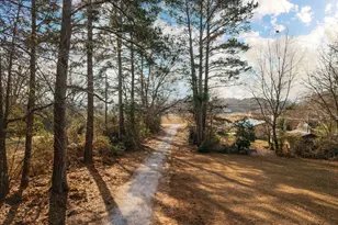 139 Pineview Rd, Jackson, GA 30233 - Photo 11