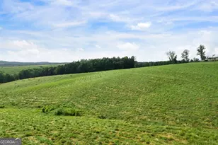 339 Cavender Ln, Bowdon, GA 30108 - Photo 17