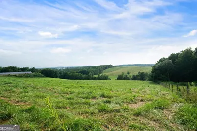 339 Cavender Lane, Bowdon, GA 30108 - Photo 15