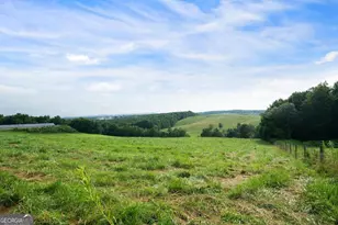 339 Cavender Ln, Bowdon, GA 30108 - Photo 15