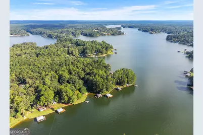 324 Blenny Run, Jackson, GA 30233 - Photo 71