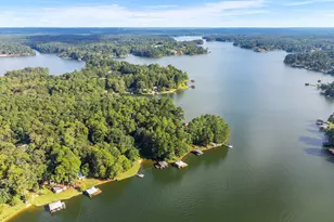 324 Blenny Run, Jackson, GA 30233 - Photo 71