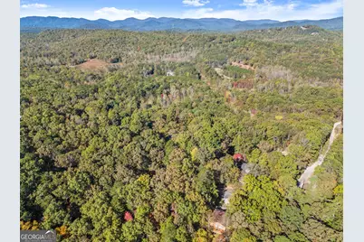 825 Sautee Woods Trail, Sautee, GA 30571 - Photo 53