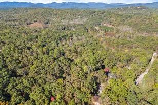 825 Sautee Woods Trail, Sautee, GA 30571 - Photo 53