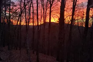 825 Sautee Woods Trail, Sautee, GA 30571 - Photo 55