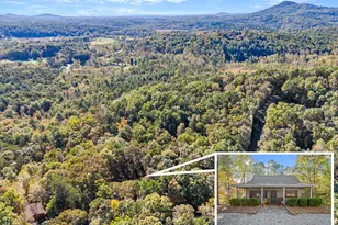 825 Sautee Woods Trail, Sautee, GA 30571 - Photo 51