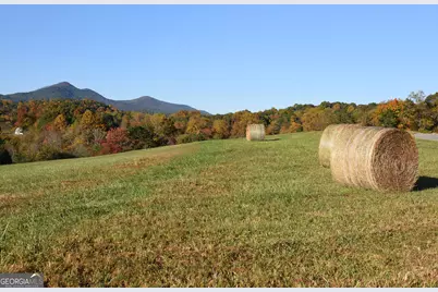 Tract11B Great Escape Place, Blairsville, GA 30512 - Photo 19