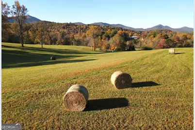 Tract11B Great Escape Place, Blairsville, GA 30512 - Photo 13