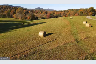 Tract11B Great Escape Place, Blairsville, GA 30512 - Photo 11